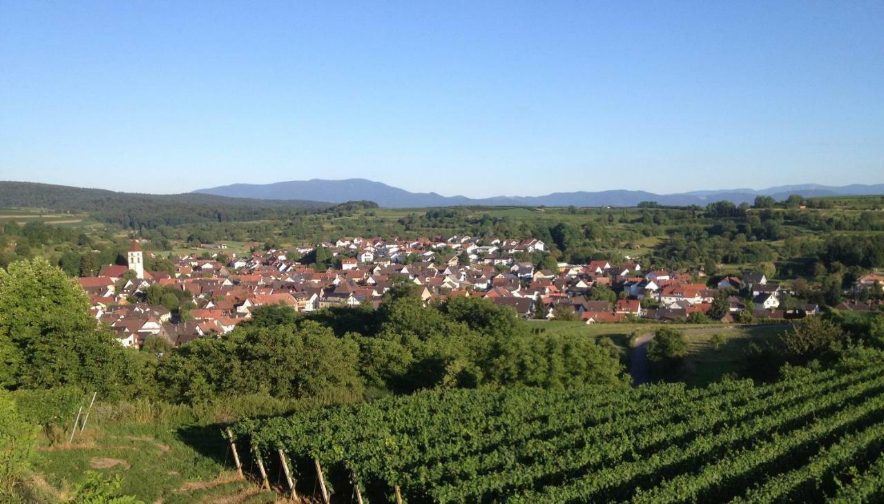 Ferienwohnung Elfriede - Wlan, 2 Baeder, Kueche, Freisitz, 2 Parkplaetze, Im Ortskern Malterdingen Dış mekan fotoğraf